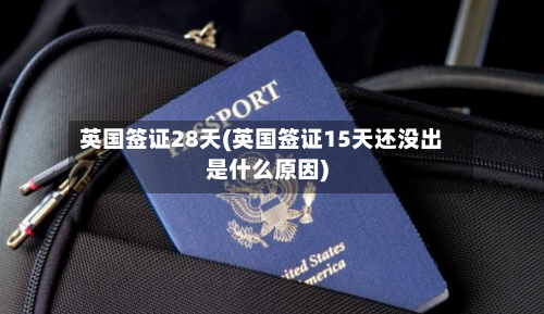 英国签证28天(英国签证15天还没出是什么原因)-第3张图片