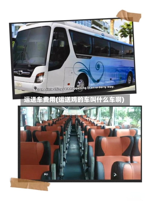 运送车费用(运送鸡的车叫什么车啊)-第3张图片