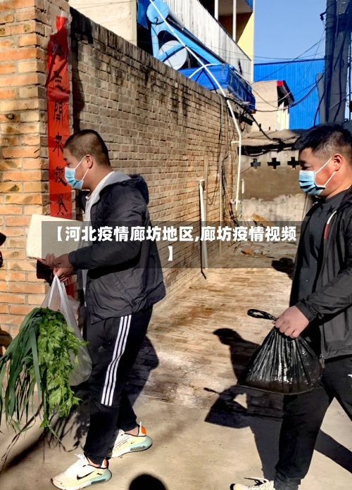【河北疫情廊坊地区,廊坊疫情视频】