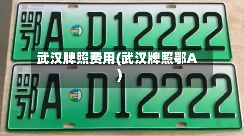 武汉牌照费用(武汉牌照鄂A)-第2张图片