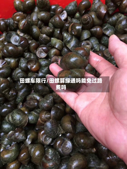 田螺车限行/田螺算绿通吗能免过路费吗-第2张图片
