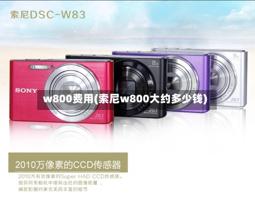 w800费用(索尼w800大约多少钱)