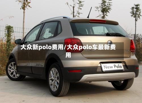 大众新polo费用/大众polo车最新费用-第2张图片