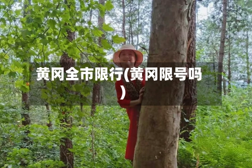 黄冈全市限行(黄冈限号吗)-第2张图片