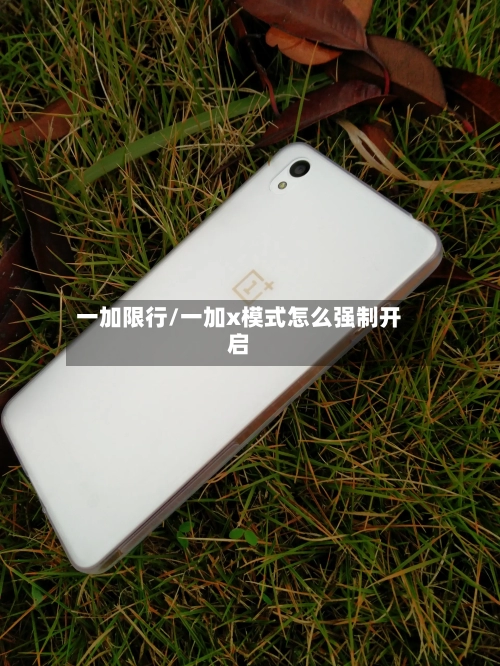 一加限行/一加x模式怎么强制开启-第2张图片