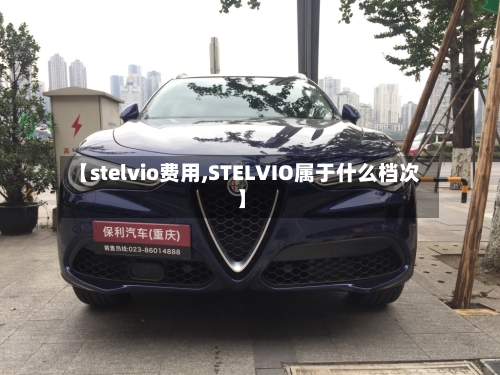【stelvio费用,STELVIO属于什么档次】-第2张图片