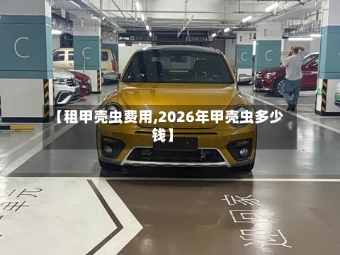 【租甲壳虫费用,2026年甲壳虫多少钱】