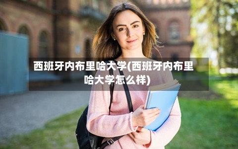西班牙内布里哈大学(西班牙内布里哈大学怎么样)-第2张图片