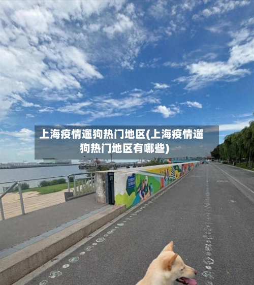 上海疫情遛狗热门地区(上海疫情遛狗热门地区有哪些)