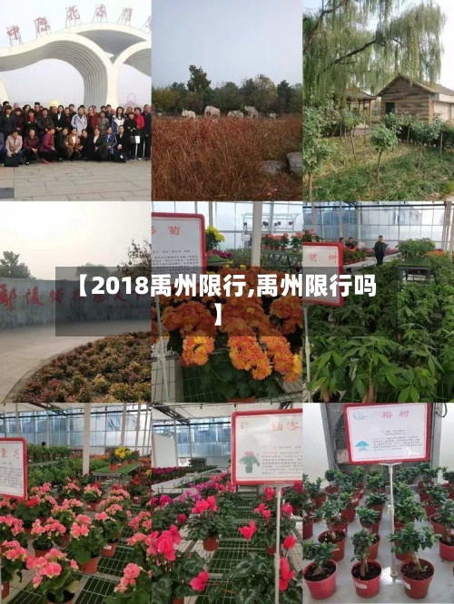 【2018禹州限行,禹州限行吗】