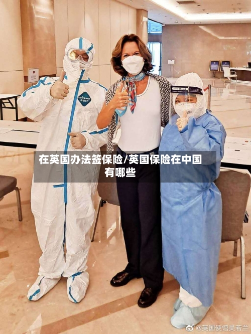 在英国办法签保险/英国保险在中国有哪些-第2张图片