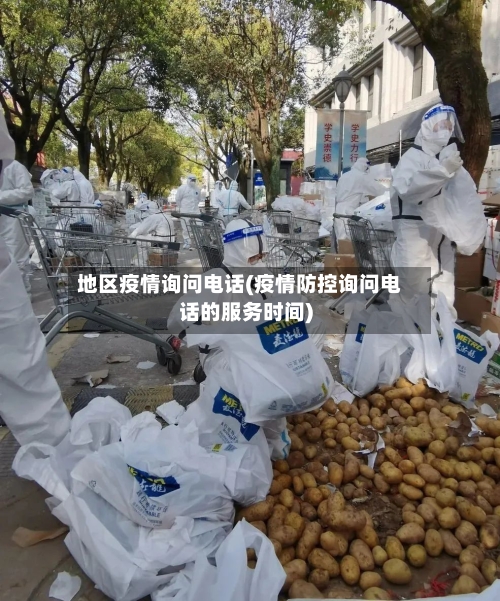 地区疫情询问电话(疫情防控询问电话的服务时间)