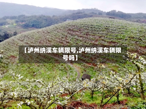 【泸州纳溪车辆限号,泸州纳溪车辆限号吗】