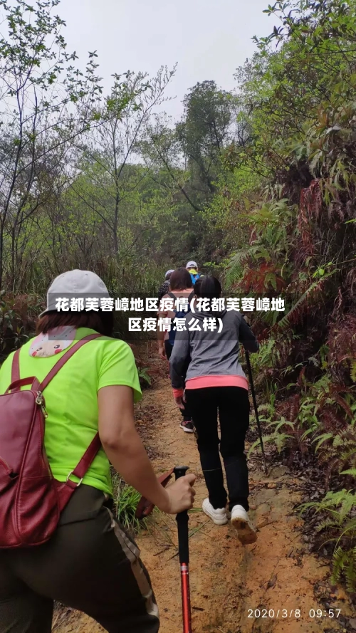 花都芙蓉嶂地区疫情(花都芙蓉嶂地区疫情怎么样)-第3张图片