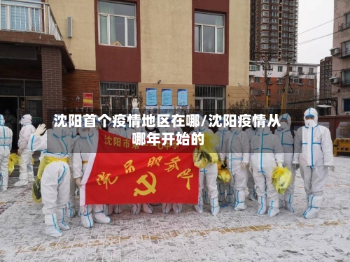 沈阳首个疫情地区在哪/沈阳疫情从哪年开始的-第2张图片