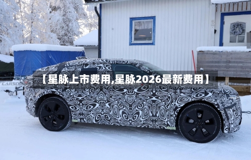 【星脉上市费用,星脉2026最新费用】-第2张图片