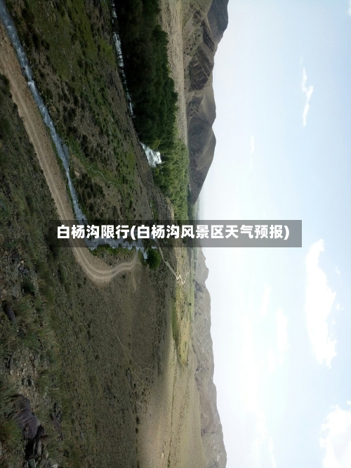 白杨沟限行(白杨沟风景区天气预报)
