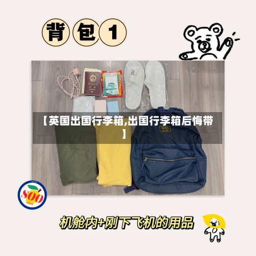 【英国出国行李箱,出国行李箱后悔带】