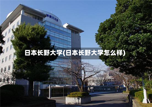 日本长野大学(日本长野大学怎么样)