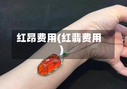 红昂费用(红翡费用)-第3张图片