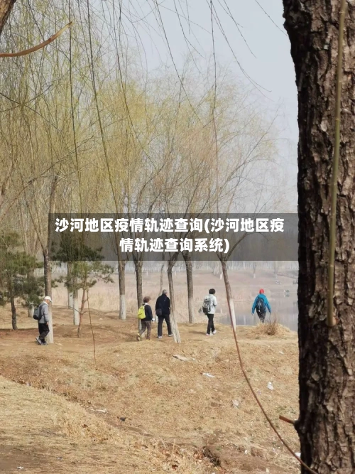沙河地区疫情轨迹查询(沙河地区疫情轨迹查询系统)-第2张图片