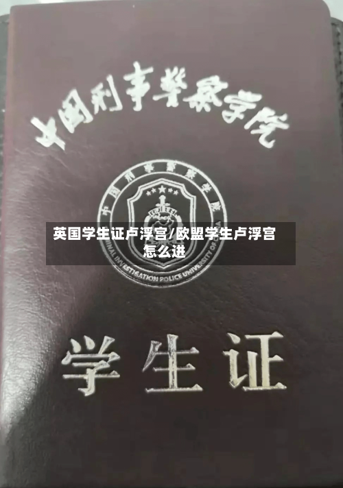 英国学生证卢浮宫/欧盟学生卢浮宫怎么进-第3张图片