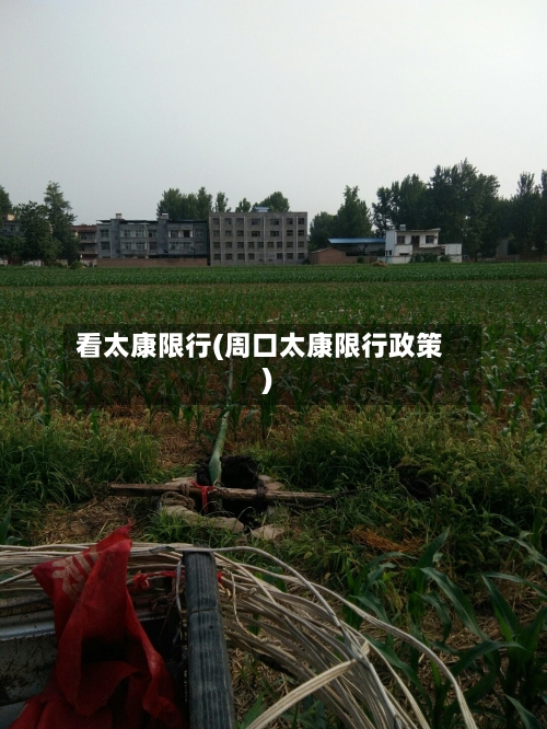 看太康限行(周口太康限行政策)