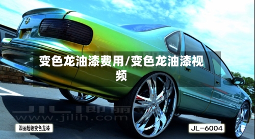 变色龙油漆费用/变色龙油漆视频