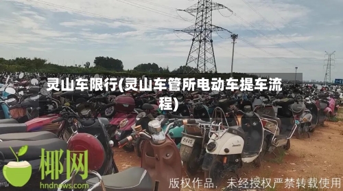 灵山车限行(灵山车管所电动车提车流程)