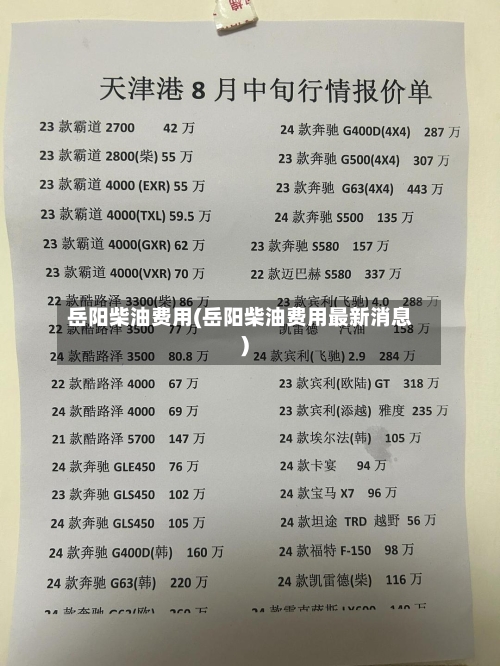 岳阳柴油费用(岳阳柴油费用最新消息)