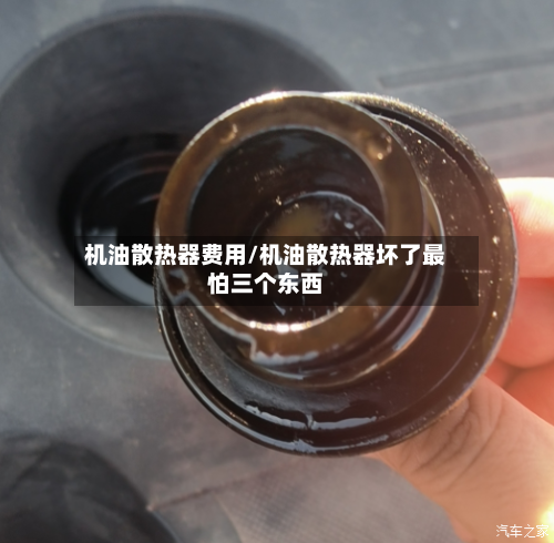 机油散热器费用/机油散热器坏了最怕三个东西-第2张图片