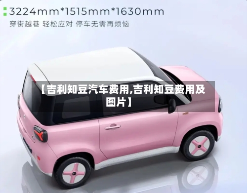 【吉利知豆汽车费用,吉利知豆费用及图片】-第2张图片