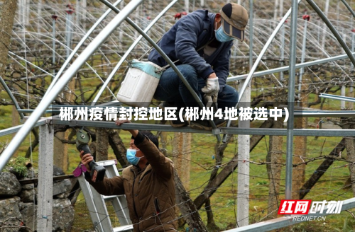 郴州疫情封控地区(郴州4地被选中)-第2张图片