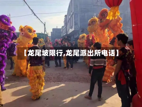 【龙尾坡限行,龙尾派出所电话】