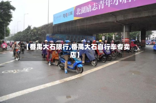 【番禺大石限行,番禺大石自行车专卖店】-第3张图片