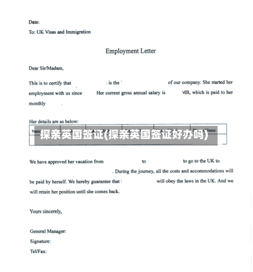 探亲英国签证(探亲英国签证好办吗)