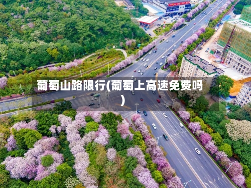 葡萄山路限行(葡萄上高速免费吗)