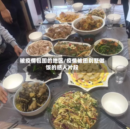 被疫情包围的地区/疫情被困别墅做饭的感人片段