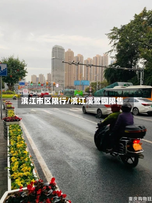 滨江市区限行/滨江溪鹭园限售-第2张图片