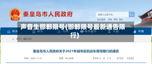 声音生邯郸限号(邯郸限号最新通告限行)-第2张图片