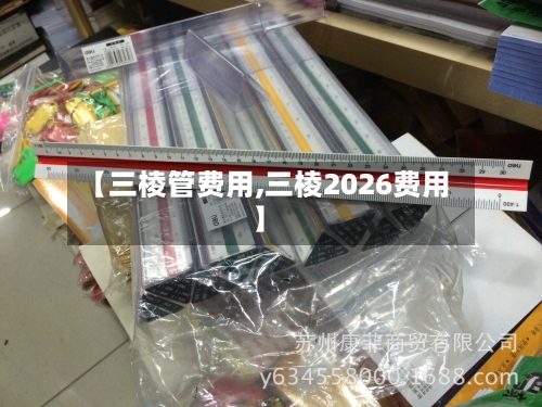 【三棱管费用,三棱2026费用】-第2张图片