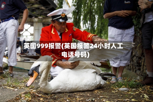 英国999报警(英国报警24小时人工电话号码)