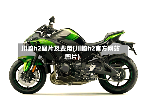 川崎h2图片及费用(川崎h2官方网站图片)