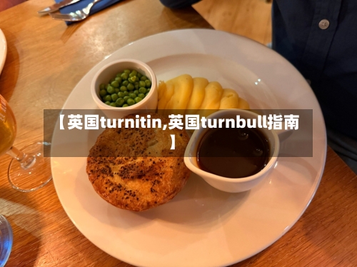 【英国turnitin,英国turnbull指南】