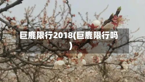 巨鹿限行2018(巨鹿限行吗)