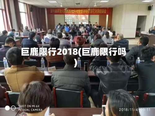 巨鹿限行2018(巨鹿限行吗)-第2张图片