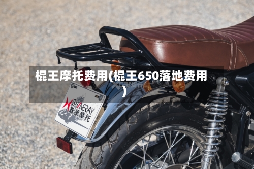 棍王摩托费用(棍王650落地费用)-第2张图片