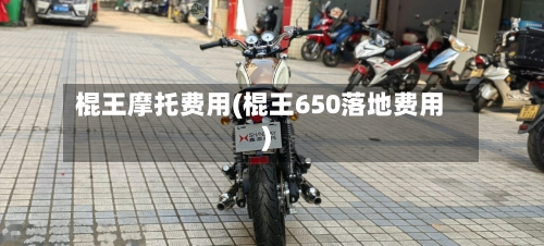 棍王摩托费用(棍王650落地费用)