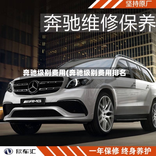 奔驰级别费用(奔驰级别费用排名)-第2张图片
