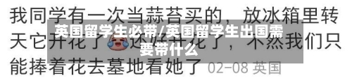 英国留学生必带/英国留学生出国需要带什么-第3张图片